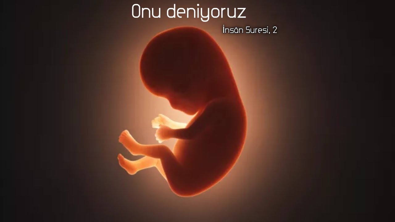 İnsan Suresi | Abdussamed | Tevhid Meali