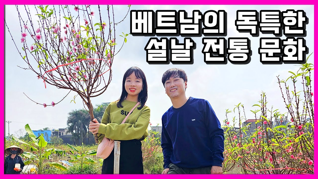 베트남 설날 전통 문화 체험, 꽃나무를 직접 사보고 부엌신께 제사를 지냈습니다 