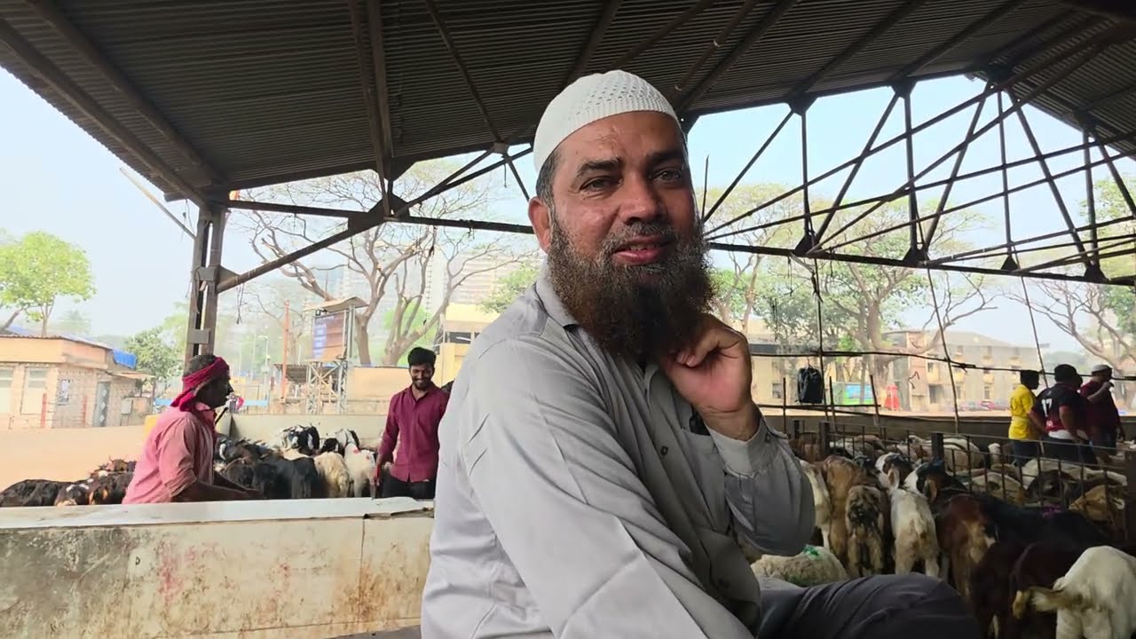 Deonar Bakra Mandi Update Saturday Goat Market | Biggest Goats Market. 