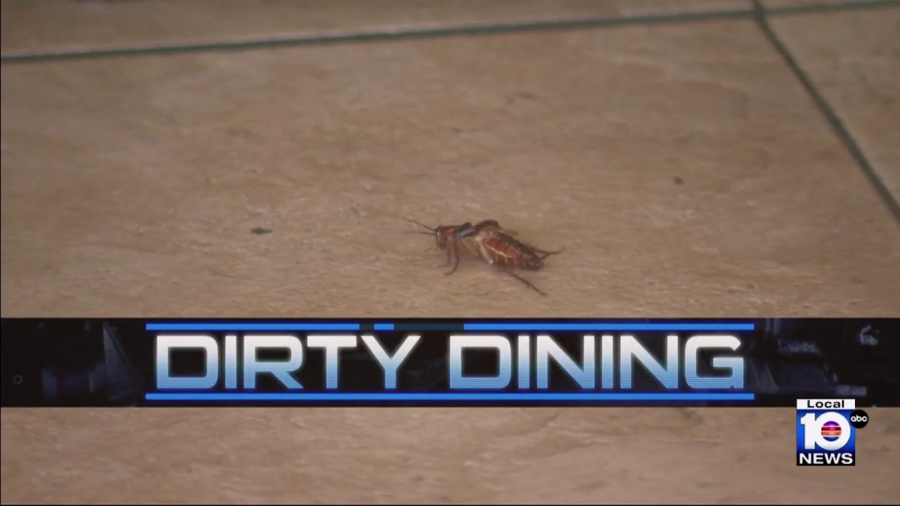 3 South Florida restaurants shut down over startling conditions