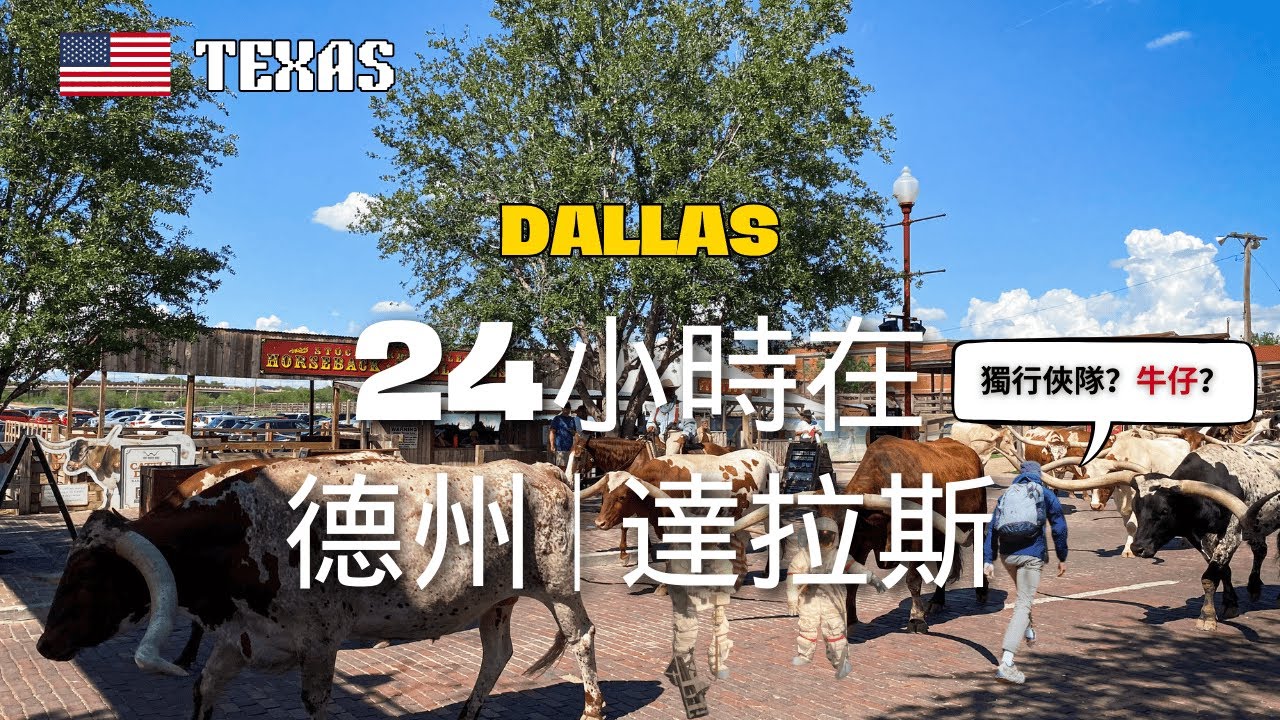 在德州達拉斯24小時景點分享 | 牛仔、獨行俠隊、美術館&hellip;｜24 hours in Dallas Texas