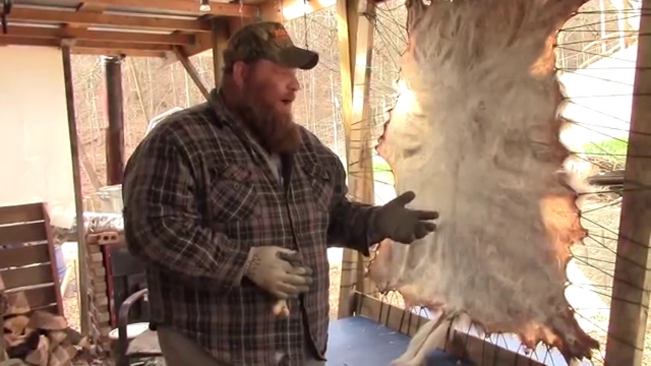 Working Deer Hides: Pt.3 Hair on Brain Tanning