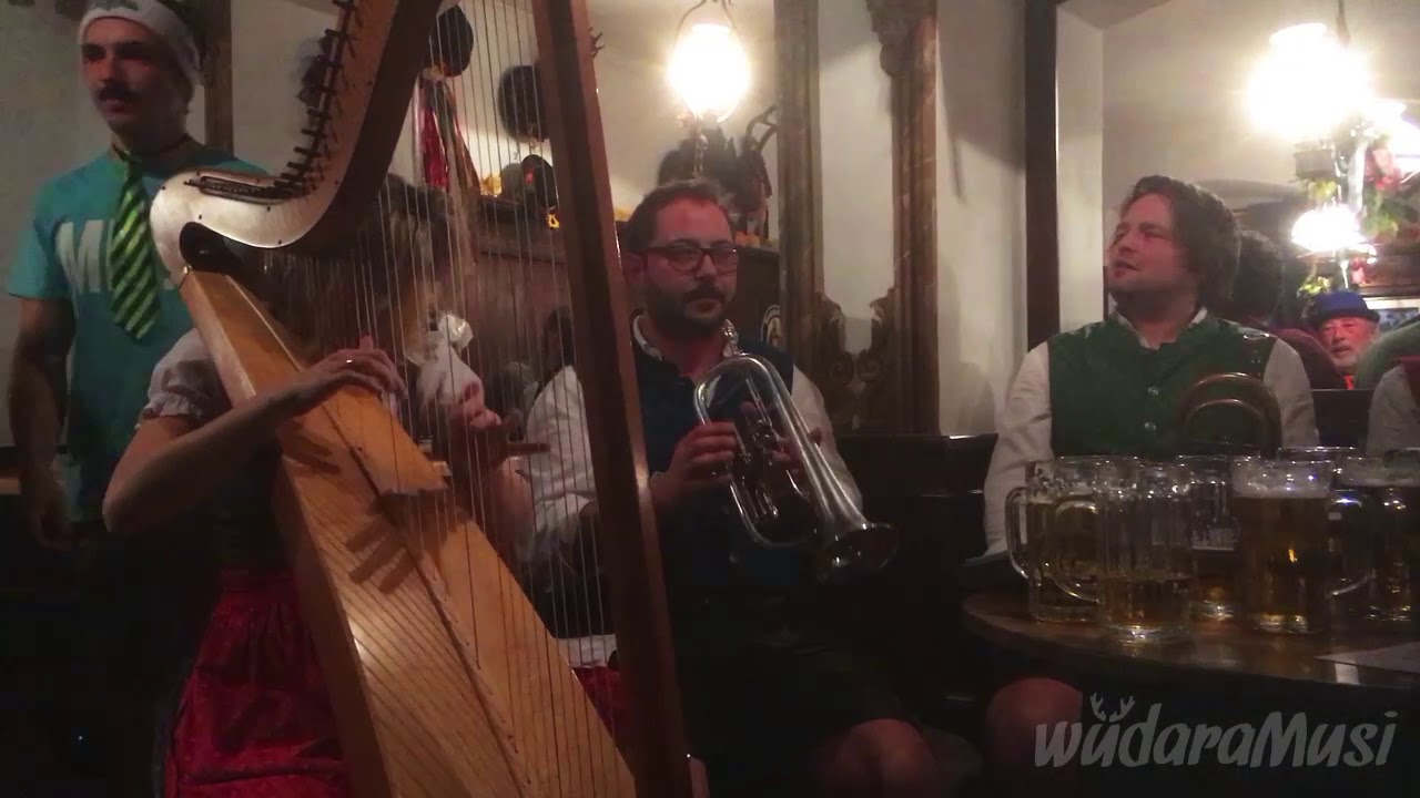 A Krainer is meiner von der WüdaraMusi