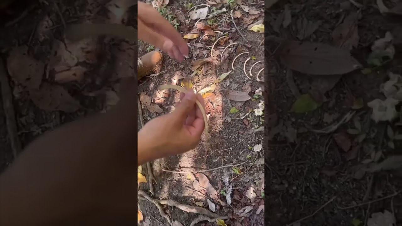 Descobertas da natureza