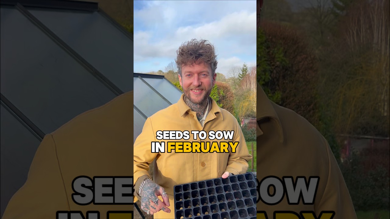 Seeds to Sow in February! #gardeningtips #vegetablegarden #seeds