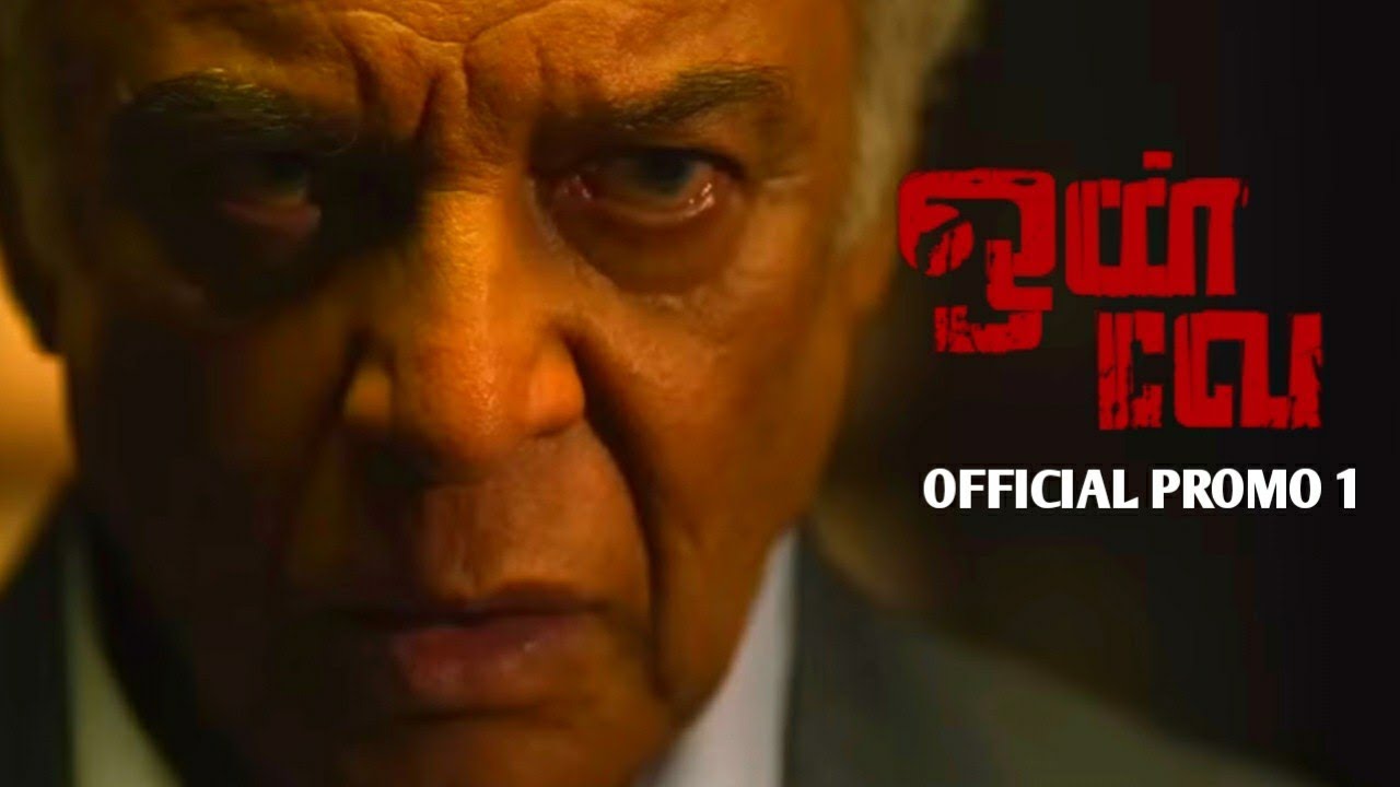 Oneway Movie Promo 1 | Oneway | Kovai Sarala | Aara | M.S.Sakthivel | Ashwin Hemanth