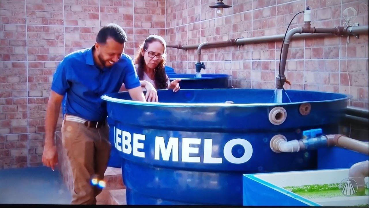 Programa Vida no Campo - Reportagem sobre nossa criação de Peixes em caixa d`água