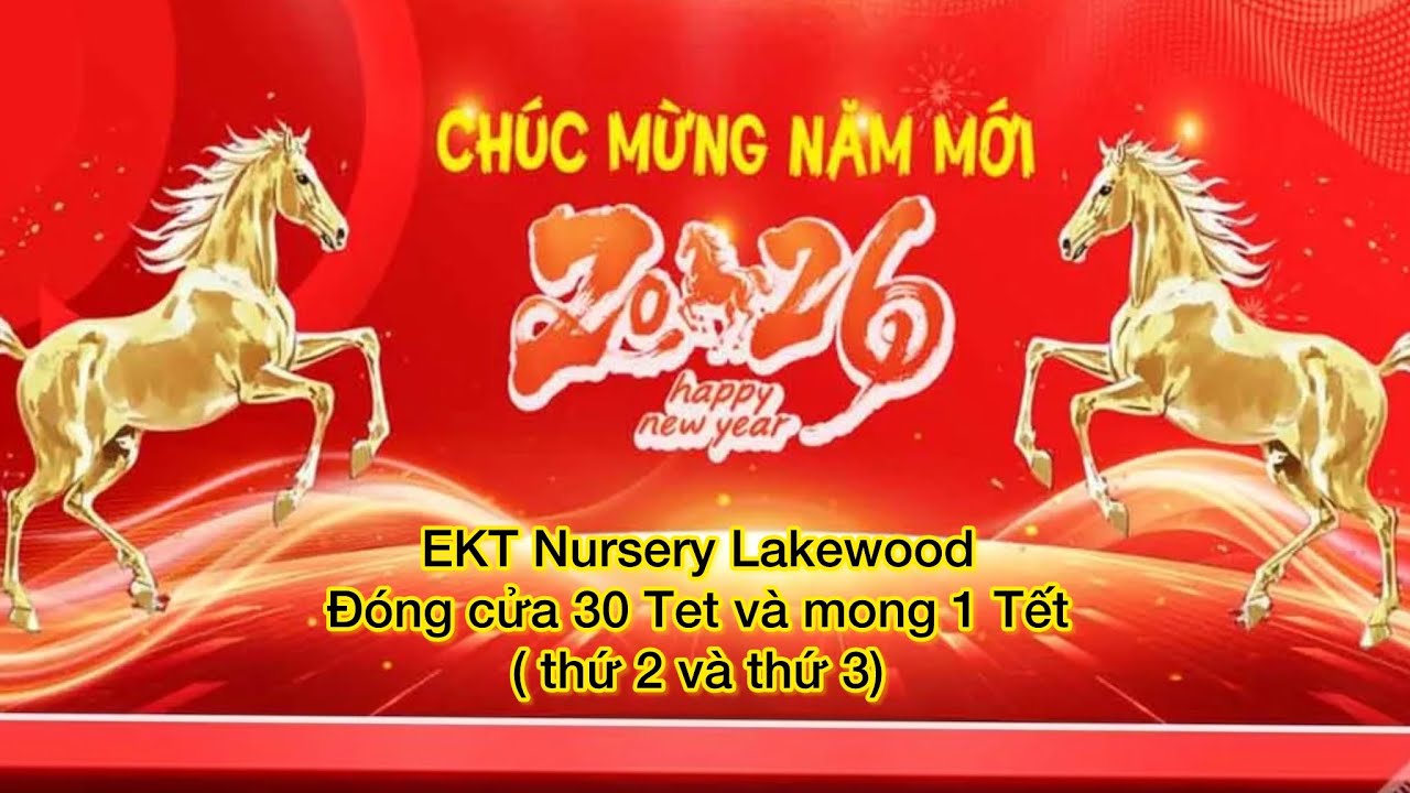 Chúc mừng năm mới 2026, chúc quý khách sức khỏe dồi dào, vạn sự như ý! 