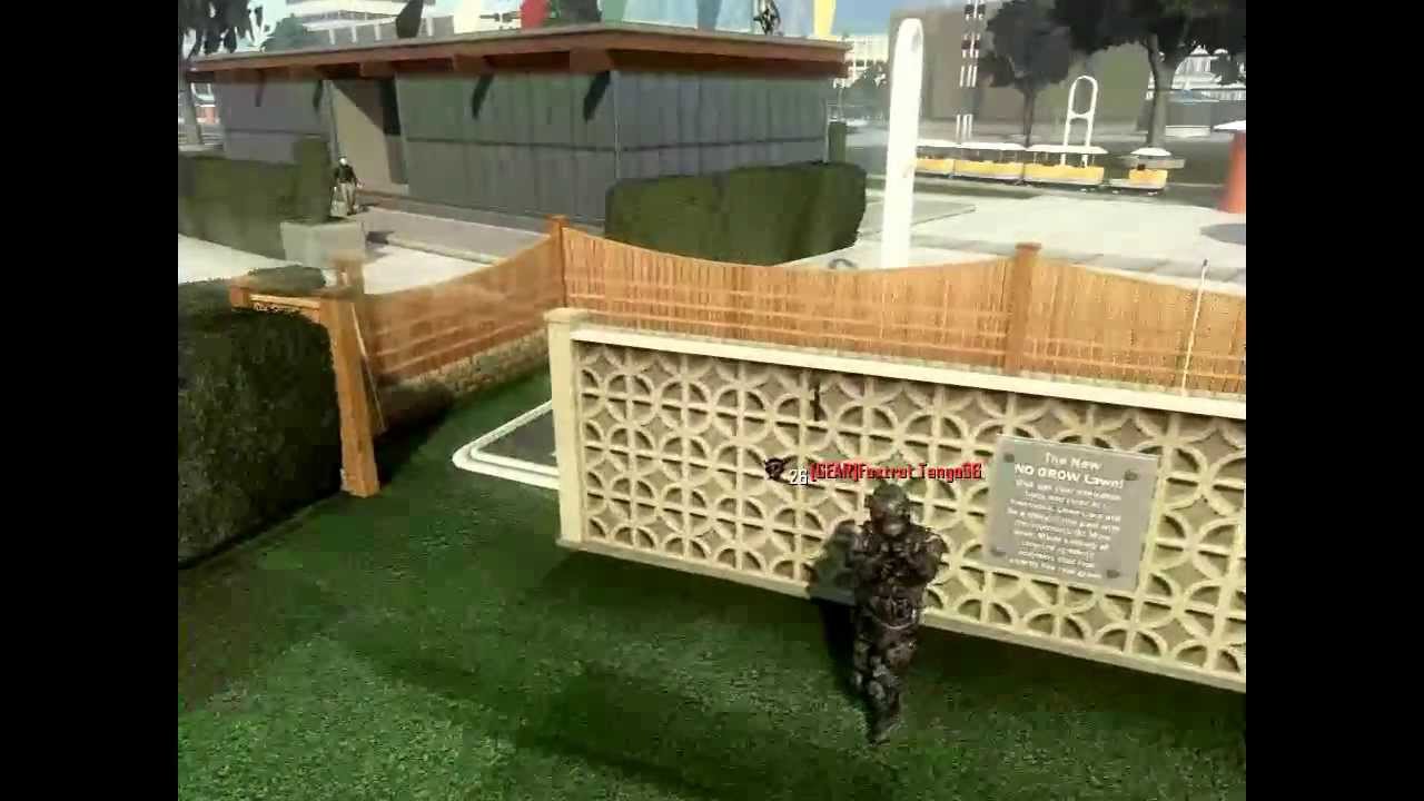 hamcheese3333 - Black Ops II Game Clip