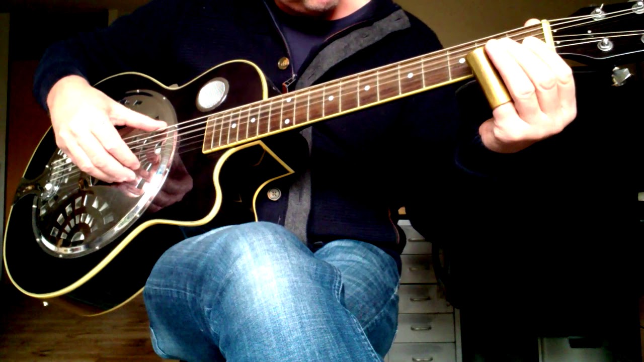 Johnson Resonator guitar