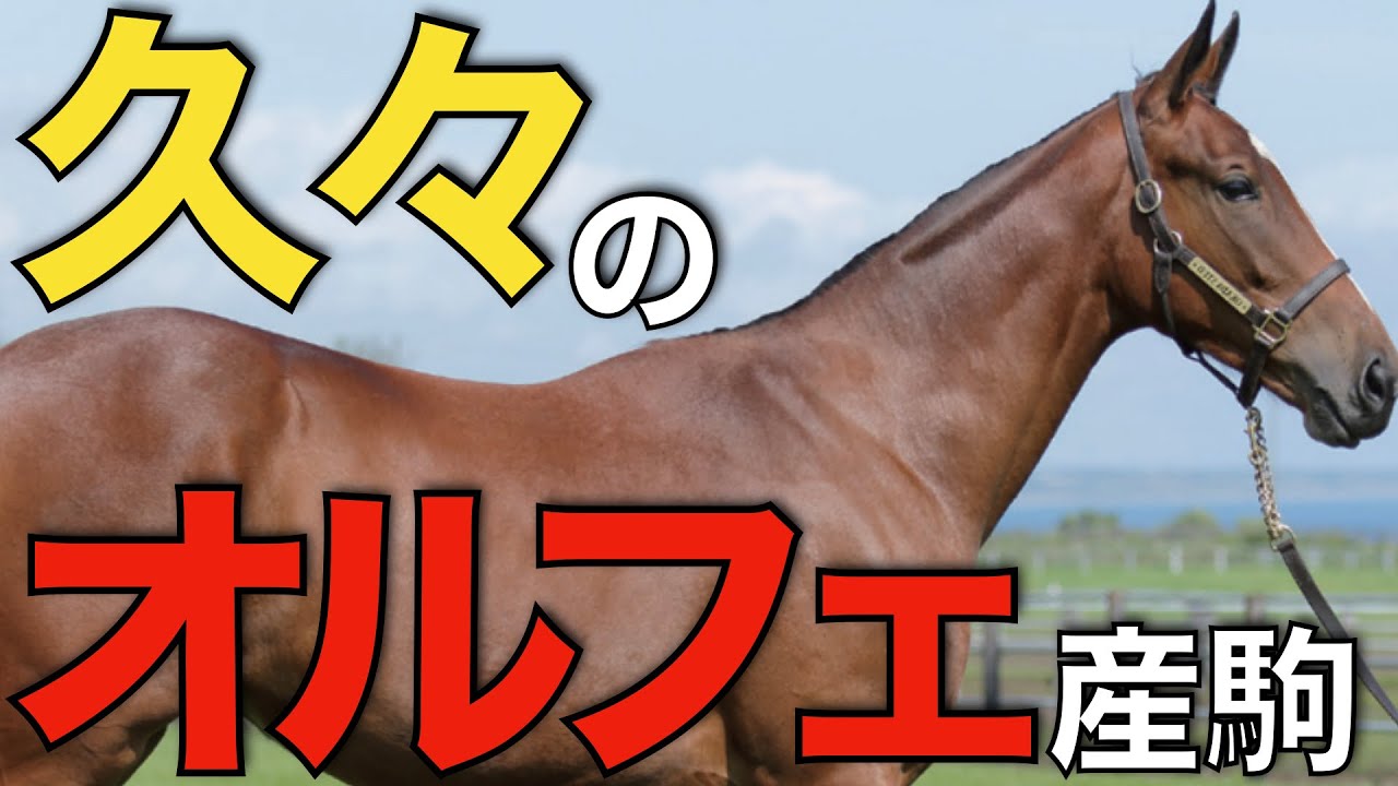 オルフェーヴル産駒から久々のクラシック候補！この世代は一味違うかも。