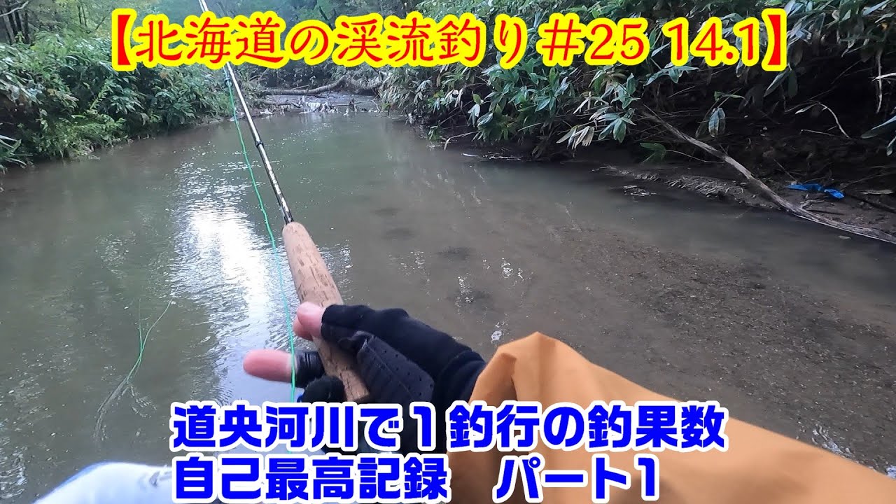 【北海道の渓流釣り＃25 14 1】《道央河川でフライフィッシング釣果最高記録》 #渓流釣り  #北海道 #フライフィッシング #ドライフライ   #ニジマス ＃パラシュートアント