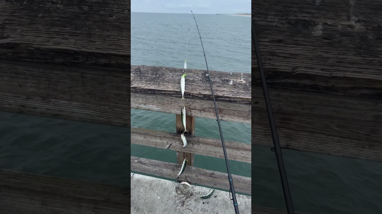 Fishing with Sabiki rig at Newport Pier California  