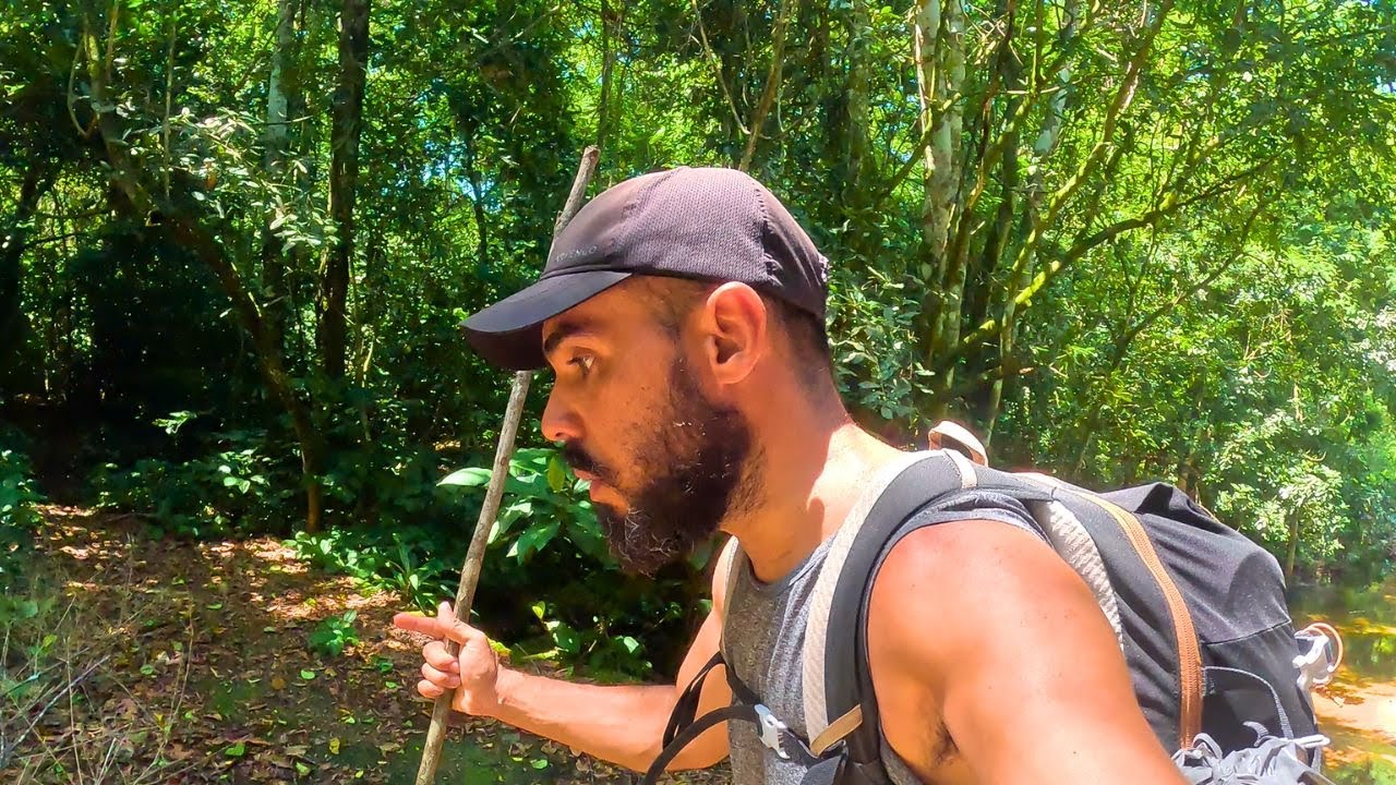 ILHA GRANDE TRILHA PARA A PRAIA DE PARNAIOCA a mais selvagem da ilha