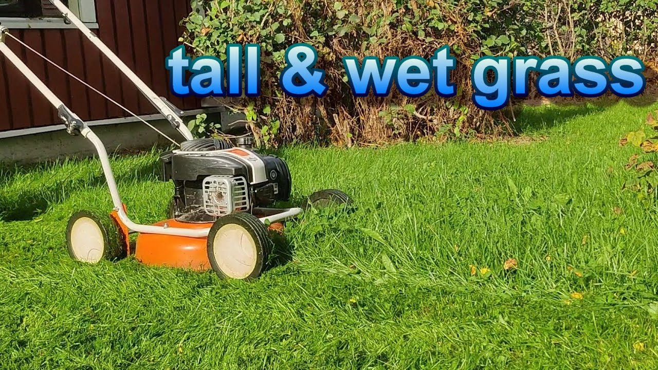 Mowing My Lawn With Stihl RM 2 R