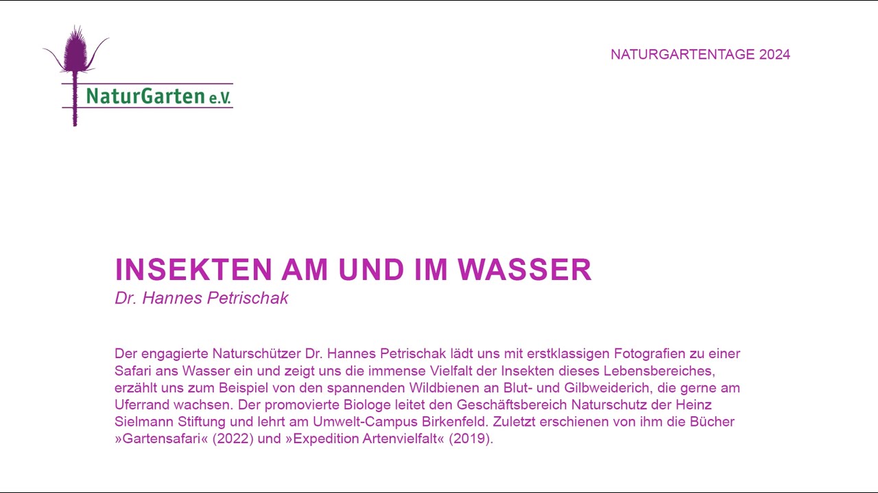 Naturgartentage 2024 | Insekten am und im Wasser