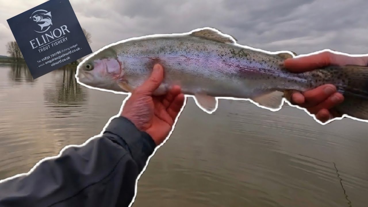 Weekend Fly Fishing Road Trip | Pt 2 of 2 | Bank & Float Tube Fishing | Elinor Trout Fishery