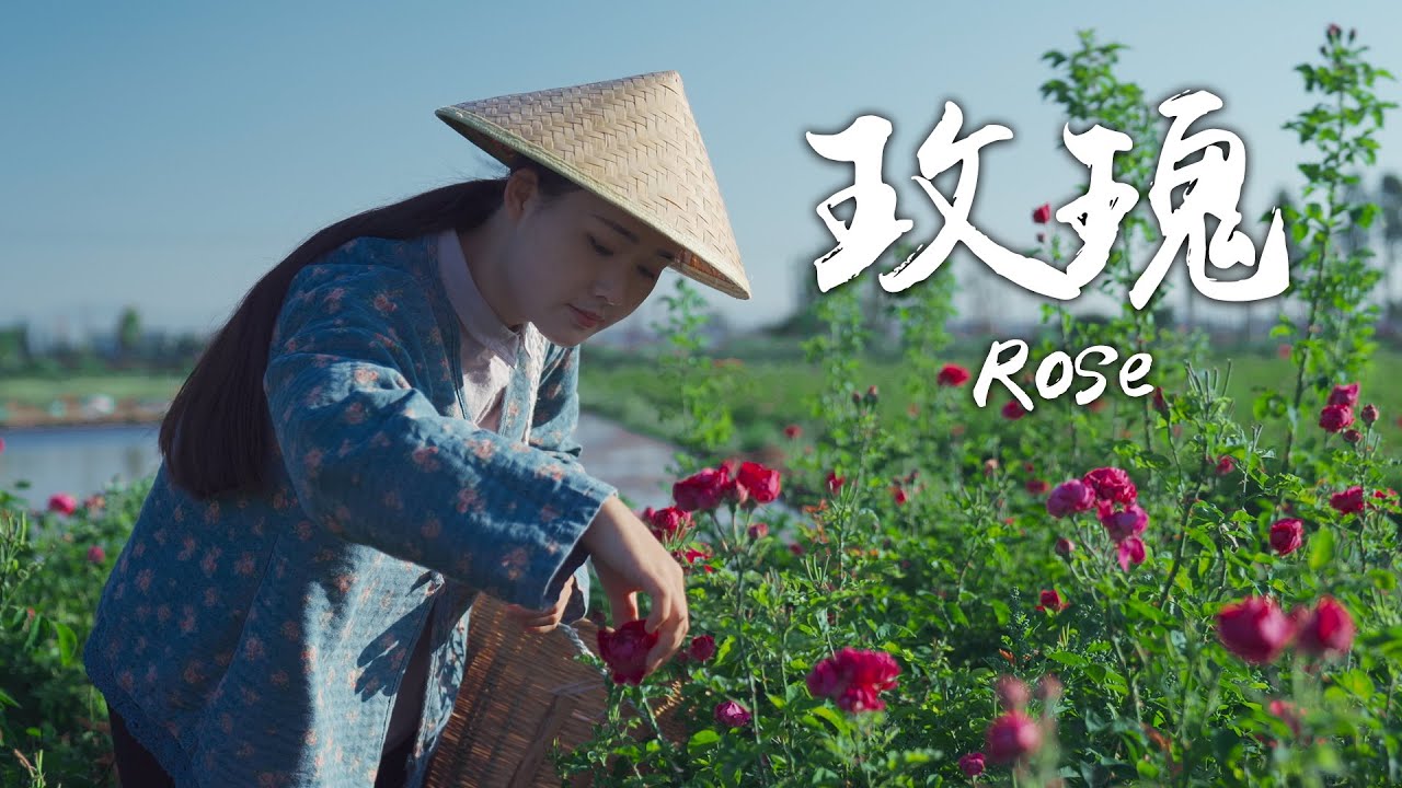 【花期有食】玫瑰花酱——苍山洱海边的独特香甜【滇西小哥】