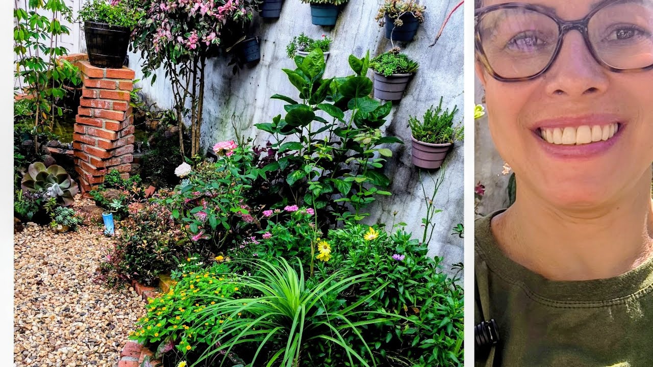  Lindas flores vincas! Um trabalho terapêutico, limpeza, podas e muitas flores no jardim 🪻🌺☀️