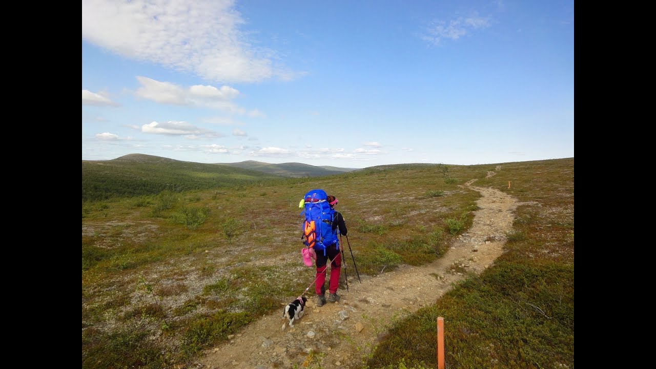 Kultareitillä Lemmenjoen kansallispuistossa 2019