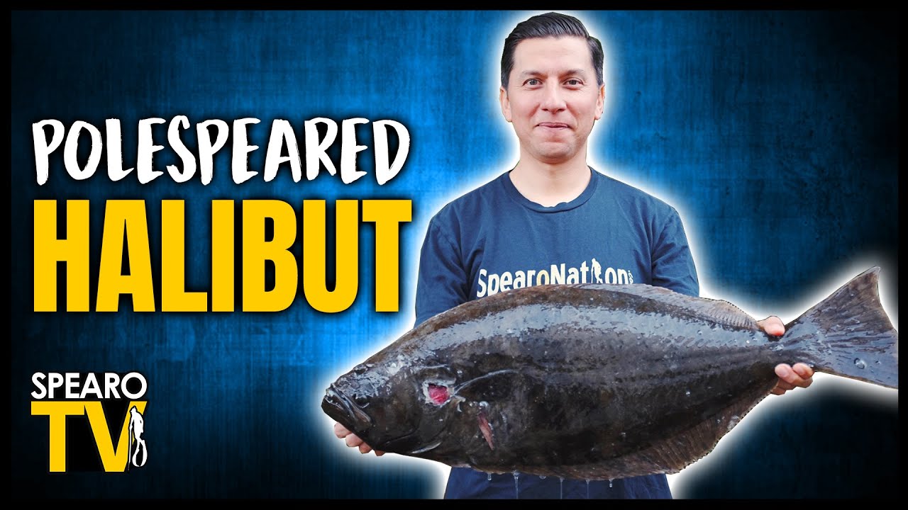 Spearfishing San Diego 2020 - Halibut Fishing