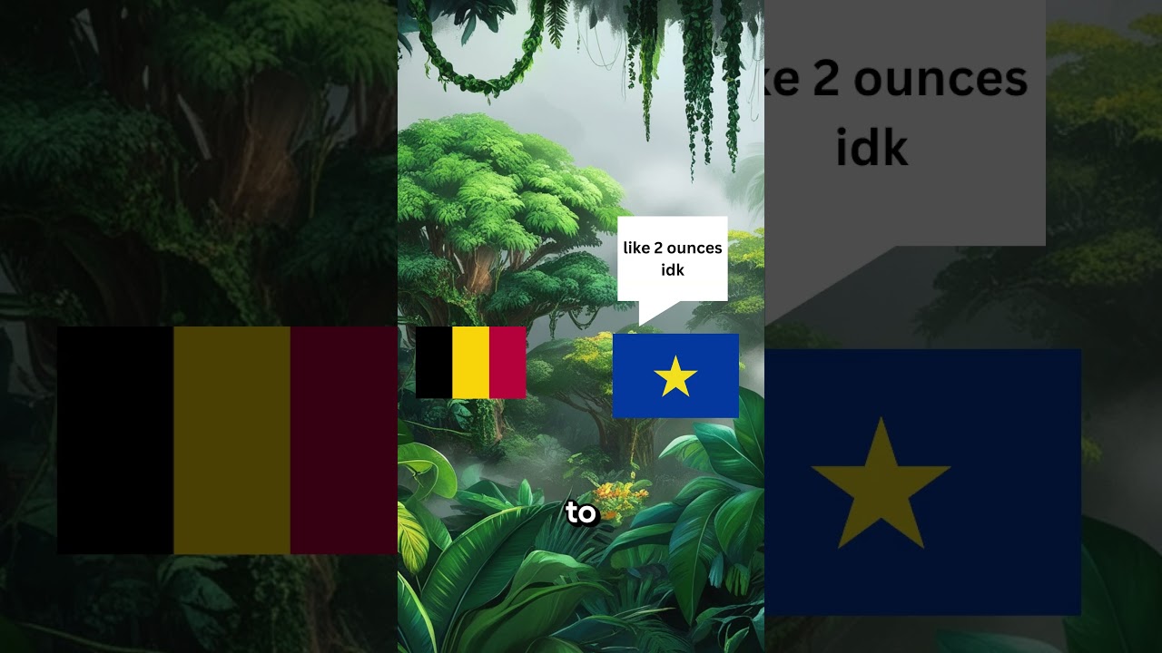 Why did Belgium Own The Congo?