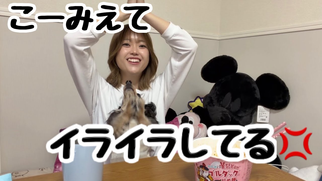 はあ？イライラ日‪💢‬