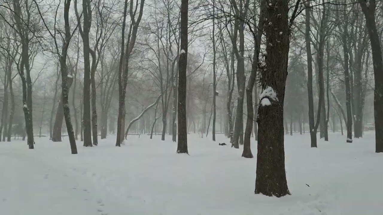 Зима, умиротворение, снег идёт. Relaxation hd 60fps