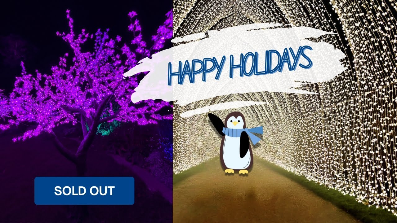 Walking Through a Winter Wonderland! LIGHTSCAPE | Botanical Garden