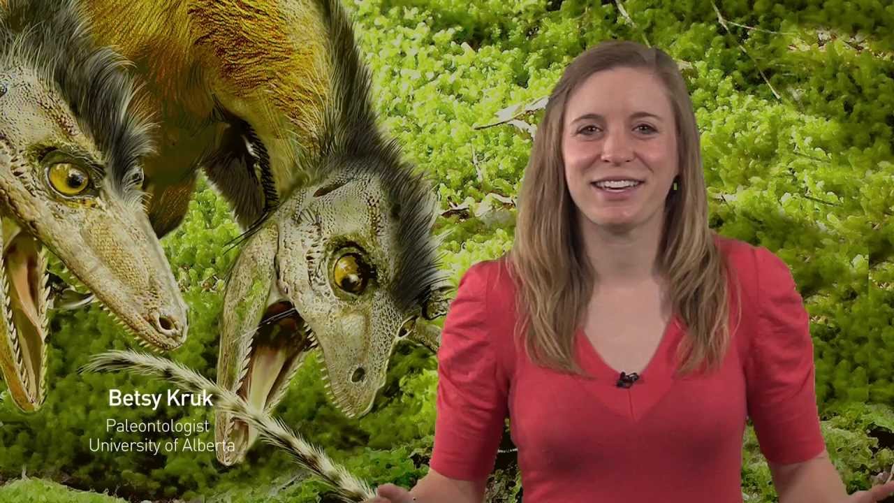 DINO 101: Dinosaur Paleobiology