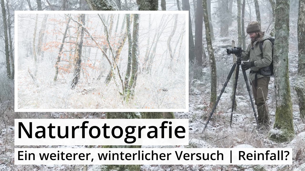 Naturfotografie: Nochmal WINTER | Versuch macht klug. Immerhin war ich draußen... ;)