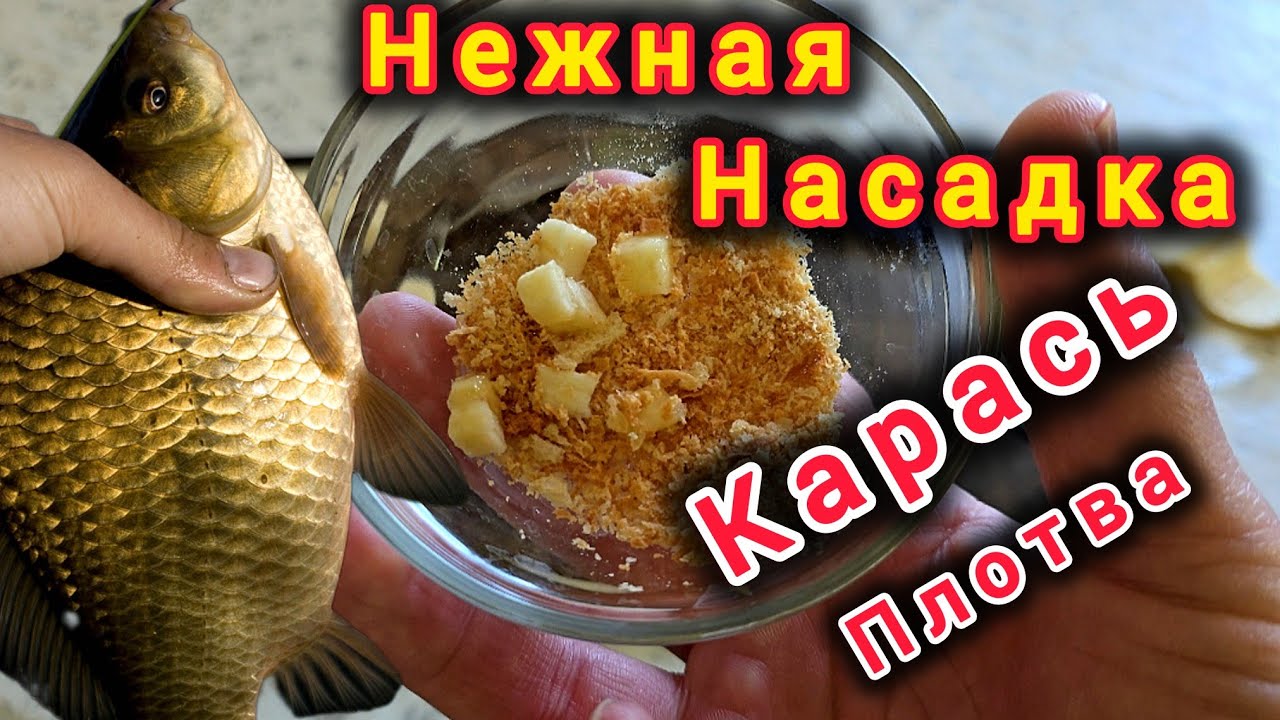 Банановая насадка срывает много. Карась и плотва берут с жадностью!