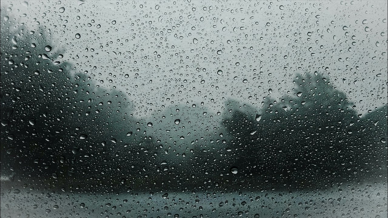 Mind Forest Sanctuary: Pure Rain & Ambient Music for Studying Without Distraction