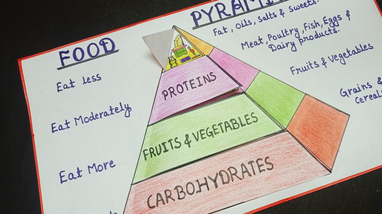 tlm,food pyramid drawing, food pyramid, food pyramid tlm, science tlm@tlmworld