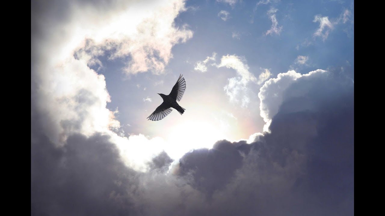 Thượng Tiến Gia-vê