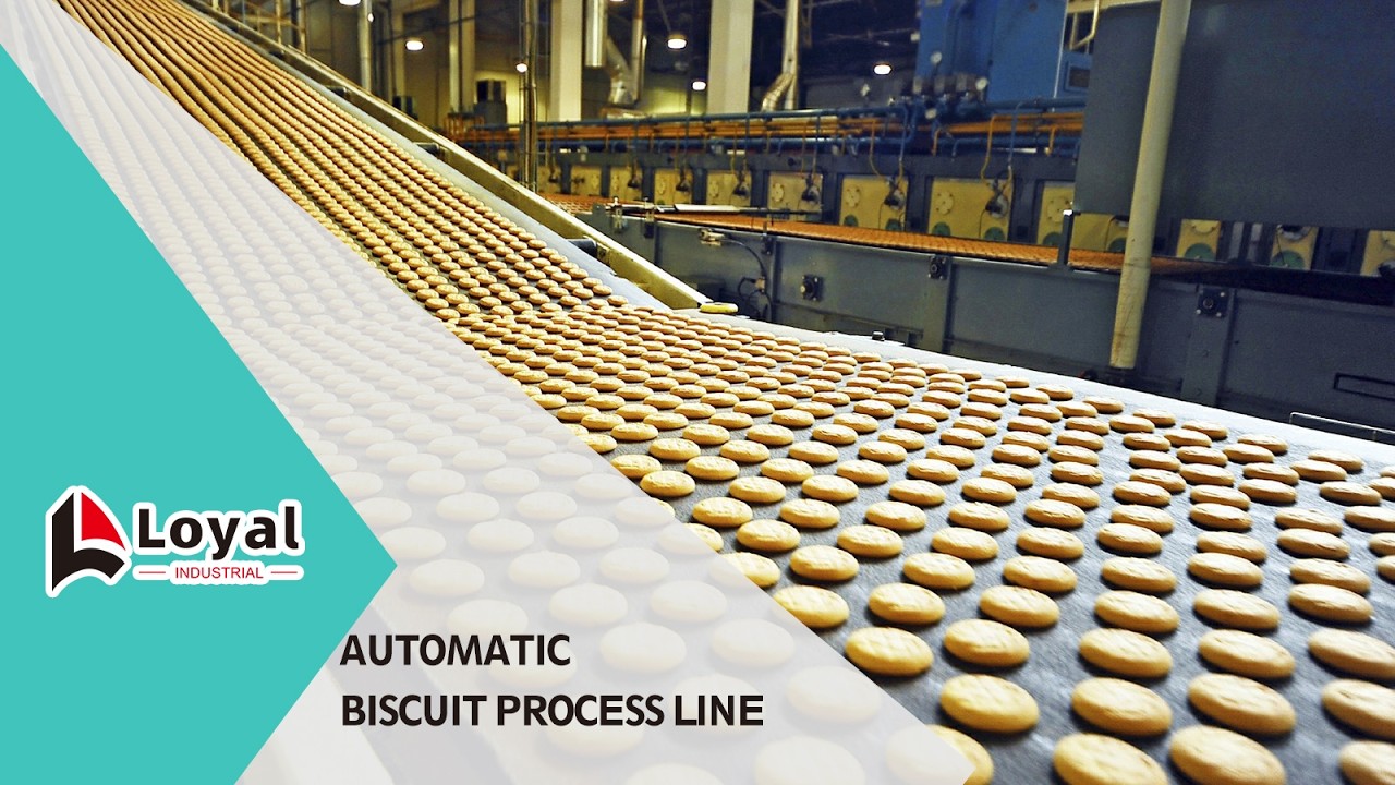 Soft biscuit production line