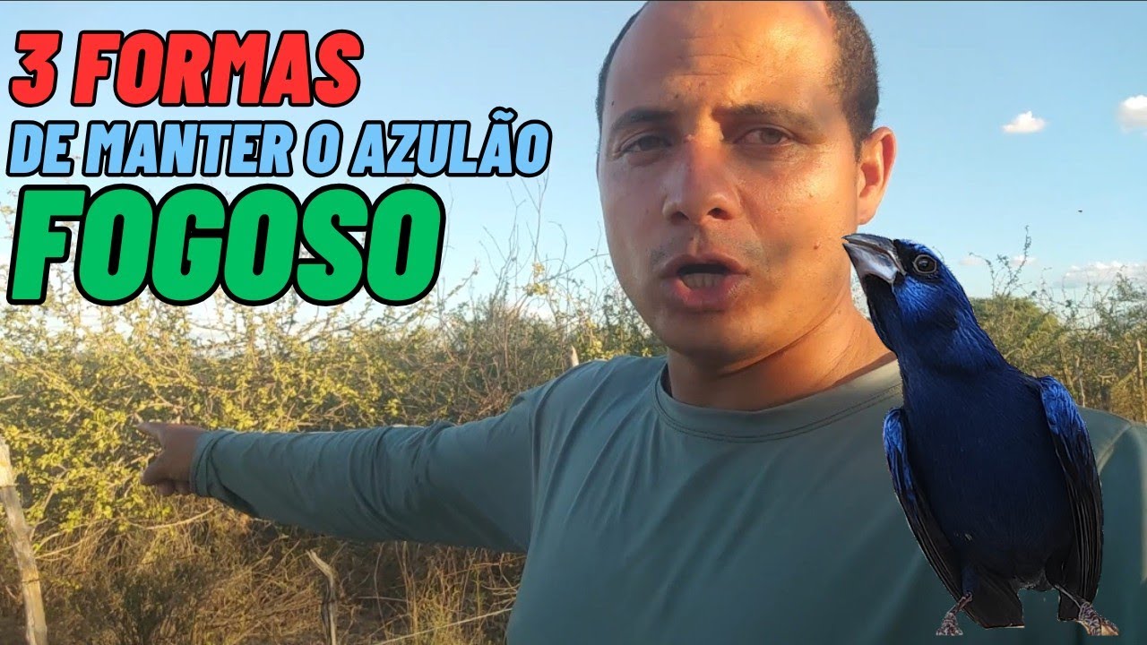 3 FORMAS DE MANTER A ORDEM DO SEU AZUL&Atilde;O SEM F&Ecirc;MEA