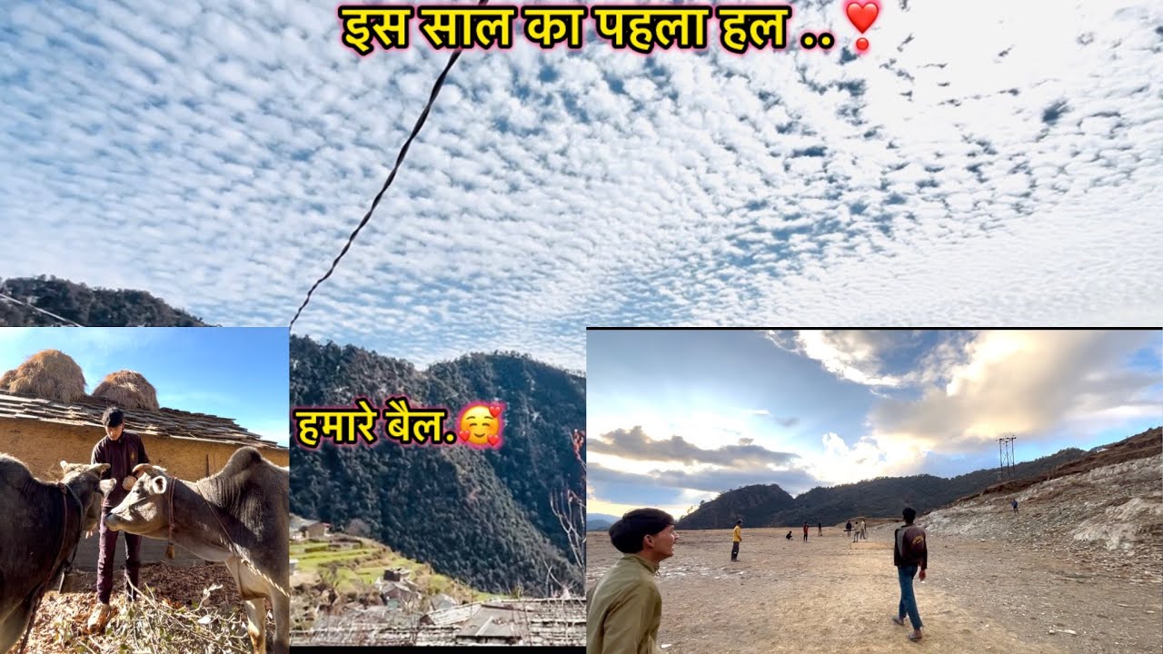 इस साल का पहला हल अब बोया जा रहा है आलू..😀❤️