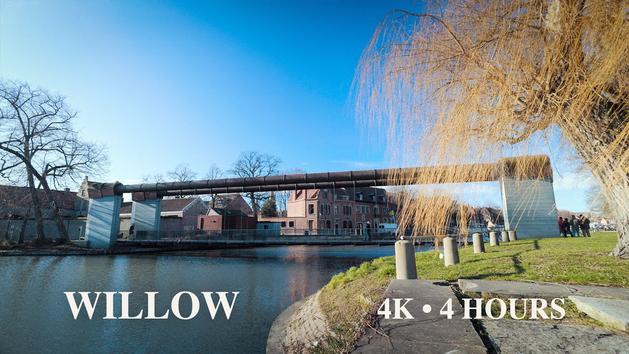 4 Hours Peaceful Canal in Bruges | Weeping Willow & Gentle Water Sounds | Relax, Study, Sleep