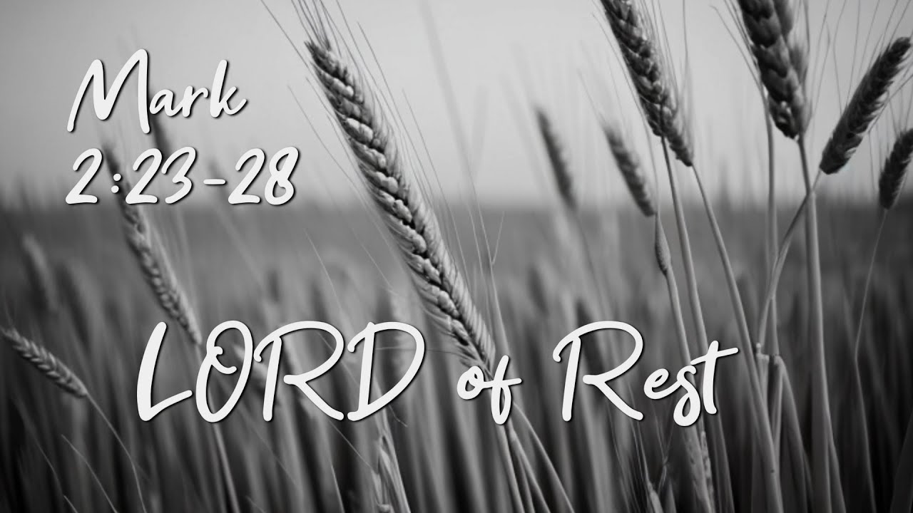 Mark 2:23-28 | Lord Of Rest | Pastor Martin Long | Calvary Live 10am