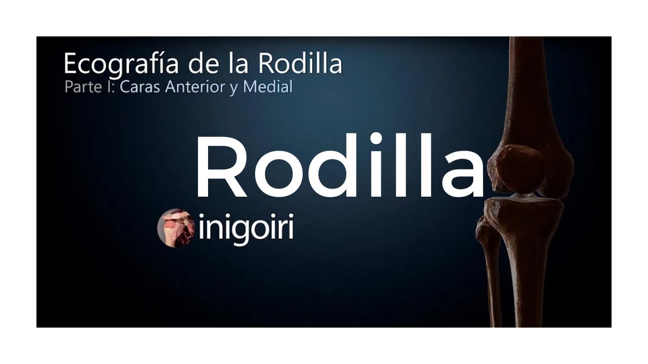 ECOGRAFÍA DE LA RODILLA (PARTE 1) | Cara Anterior y Cara Medial Paso a Paso