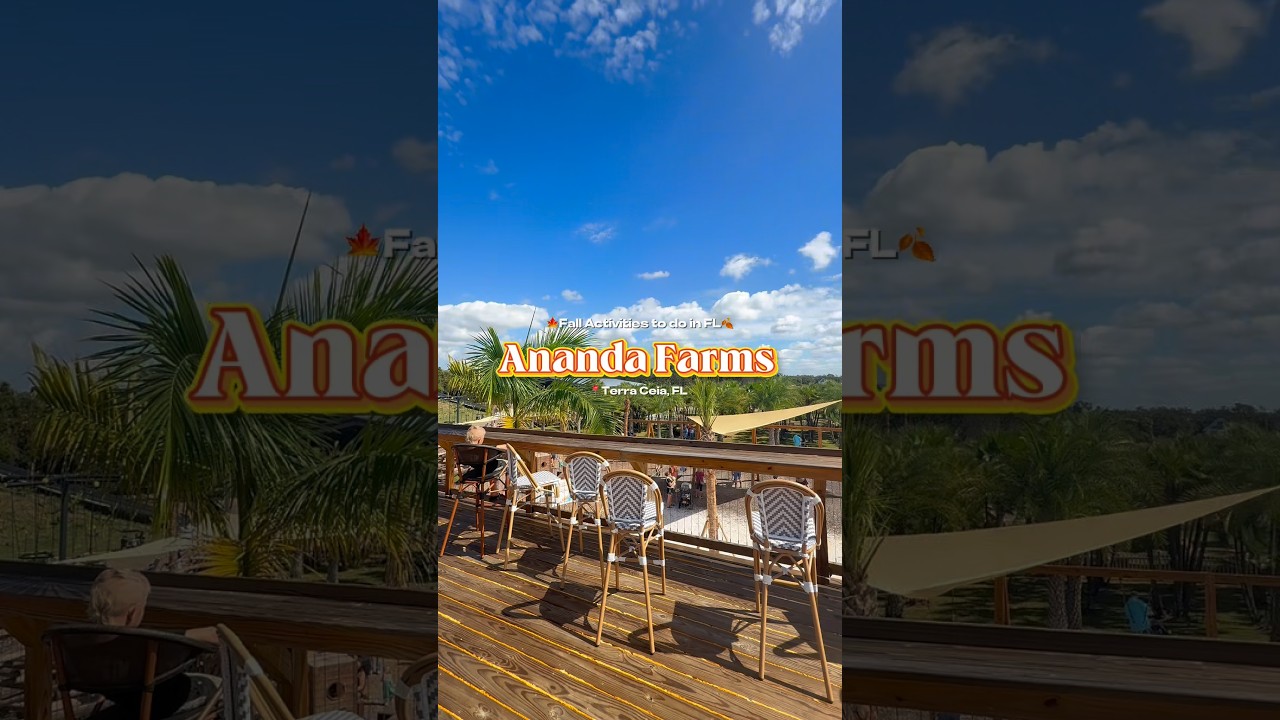 Ananda Farms in Terra Ceia, FL #fallactivities  #thingstodo #farm #shorts