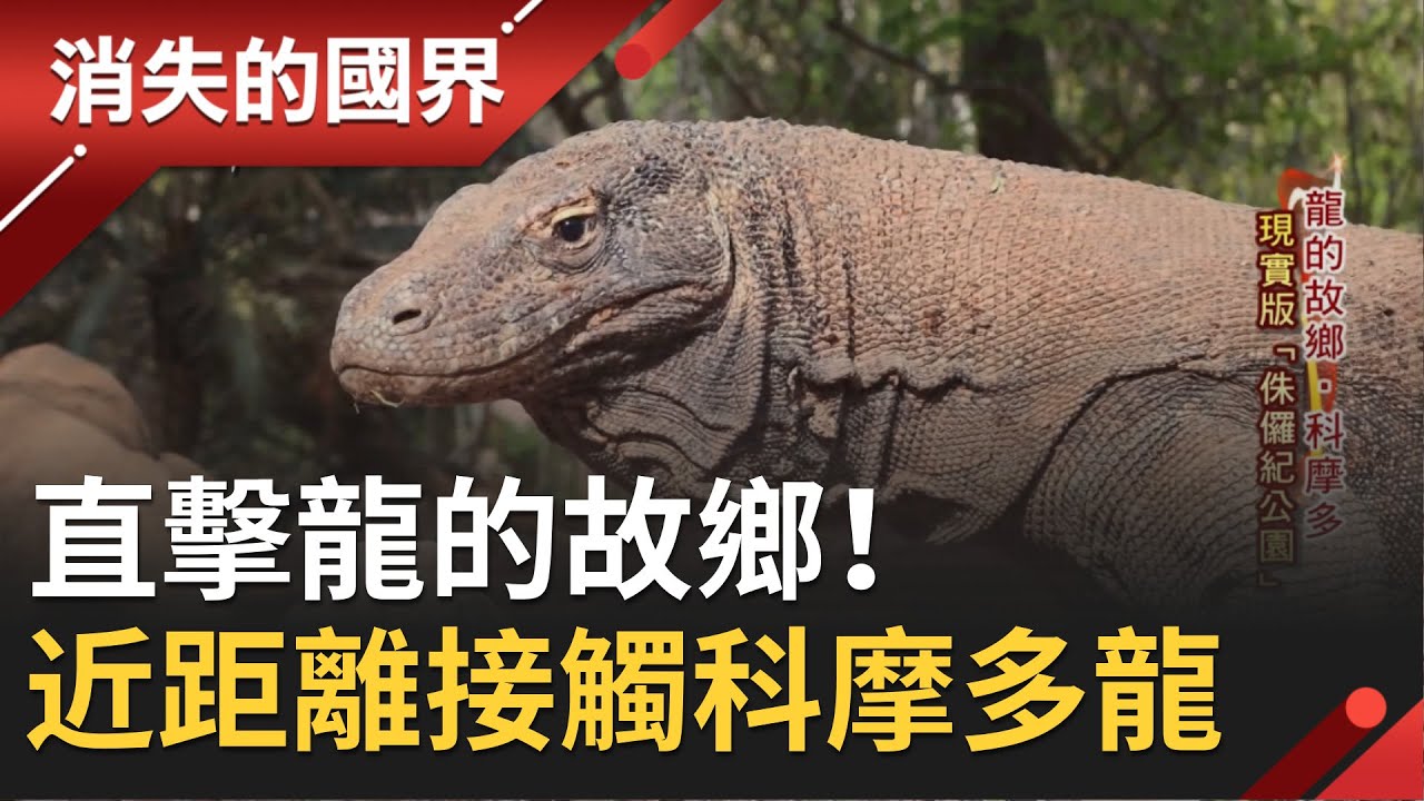 直擊龍的故鄉！近距離接觸世界最大