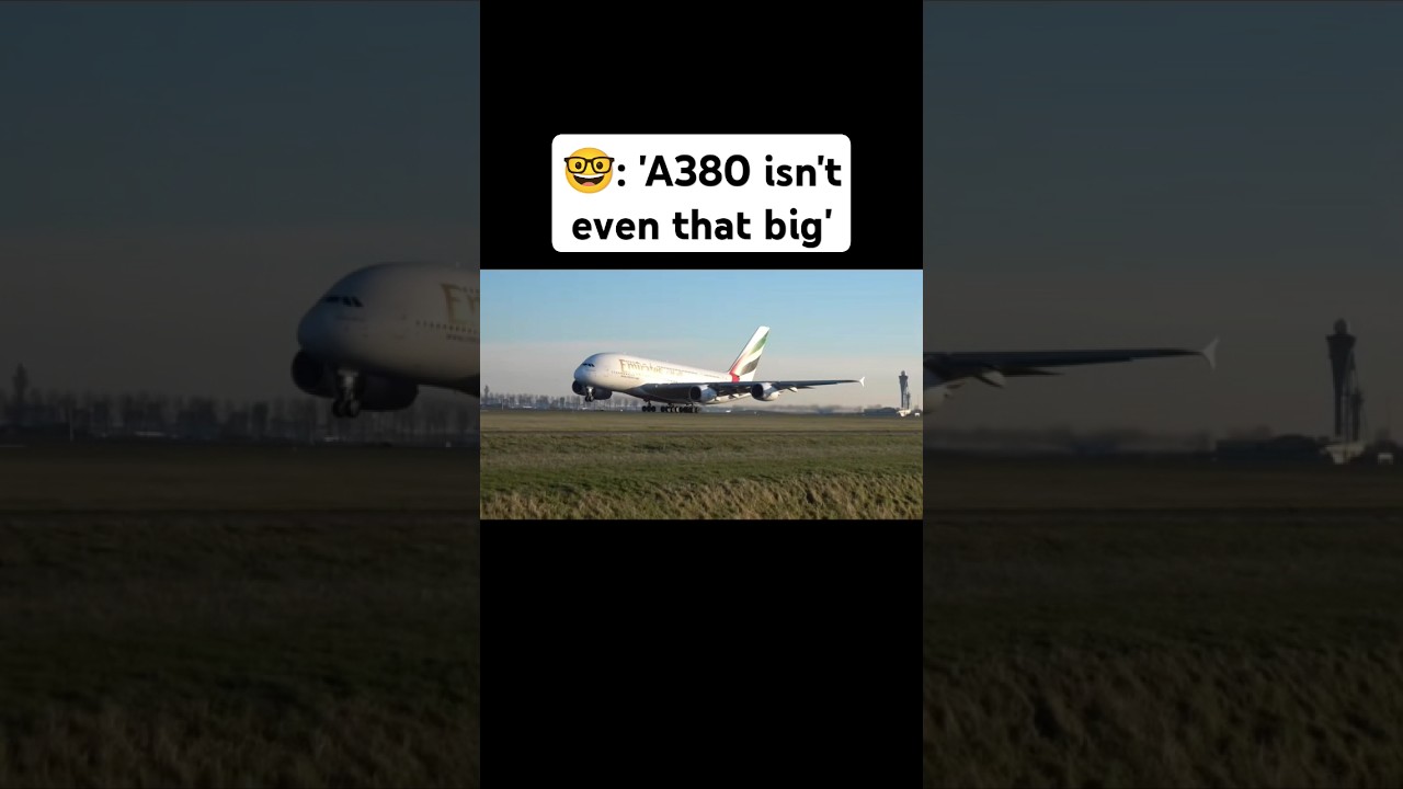 A380 is the largest commercial aircraft | Airbus-A380 the king of skies #a380 #aviation #avgeek
