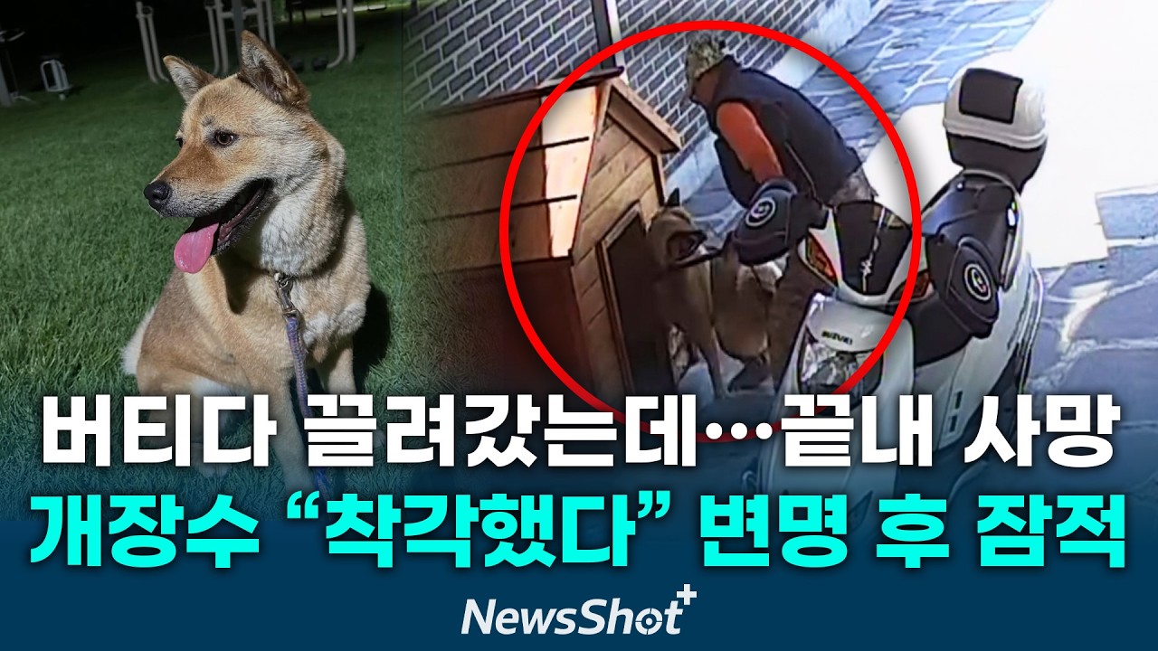 대낮 무단 침입해 반려견 납치한 개장수 &ldquo;착각했다&rdquo; 반려견 끝내 못 돌아와.../2026년 4월 9일(목)/뉴스샷+