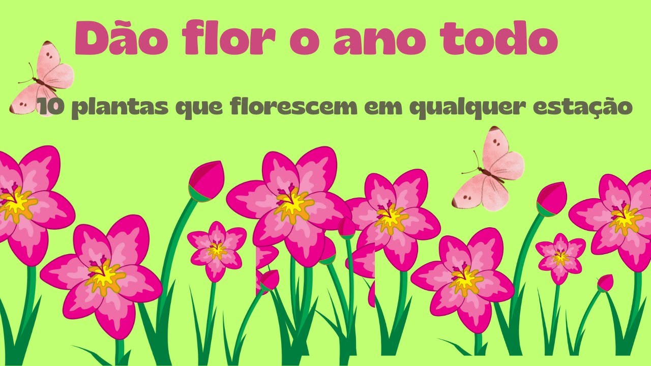 10 plantas que florescem o ano todo