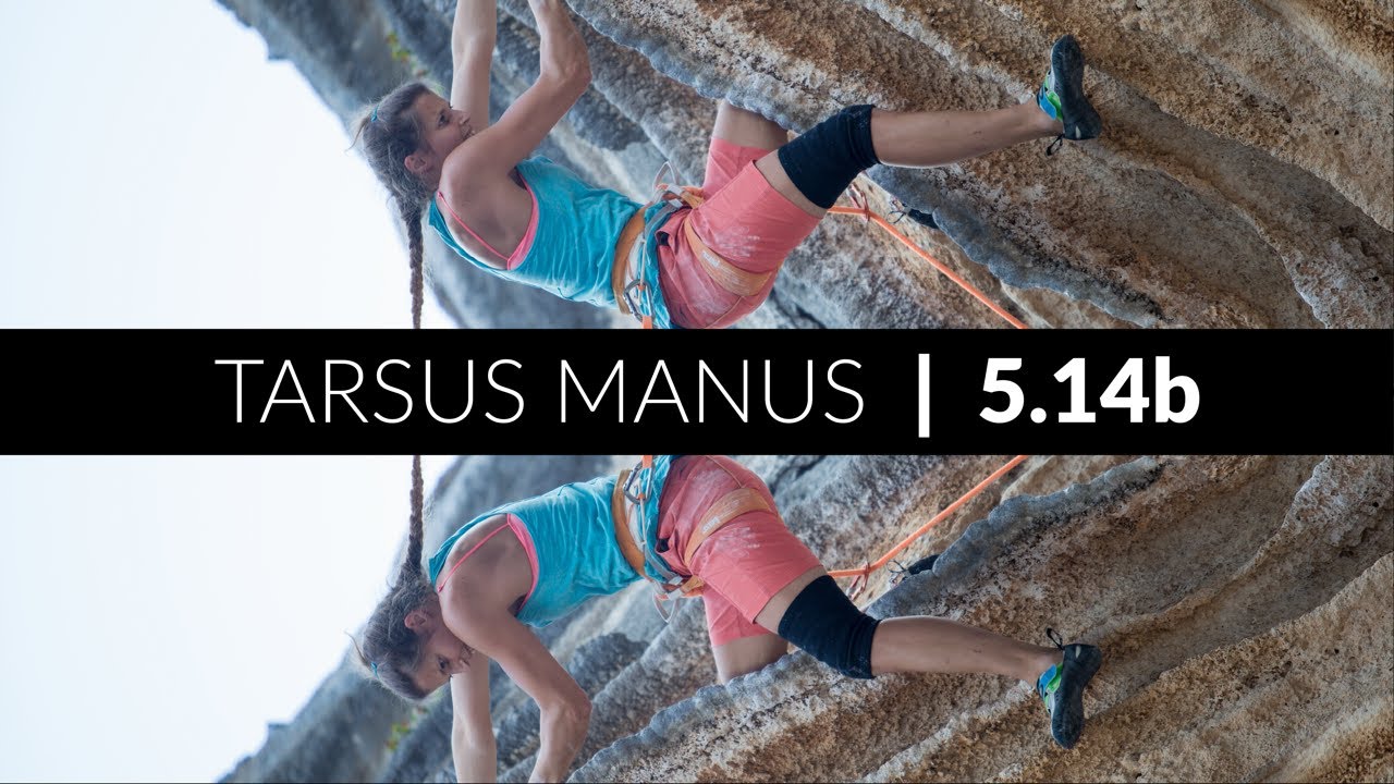 Tarsus Manus, 8c, Kyparissi