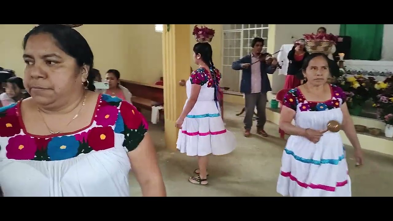 5, de febrero, de 2026, estuvimos, en Mohuico chiconamel, veracruz, 771346e437, sólo Whatsap,,