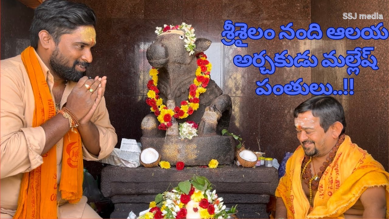 శ్రీశైలం నంది ఆలయ అర్చకుడు మల్లేష్ స్వామి #srisailam #omnamahshivaya #andhrapradesh #telangana #god