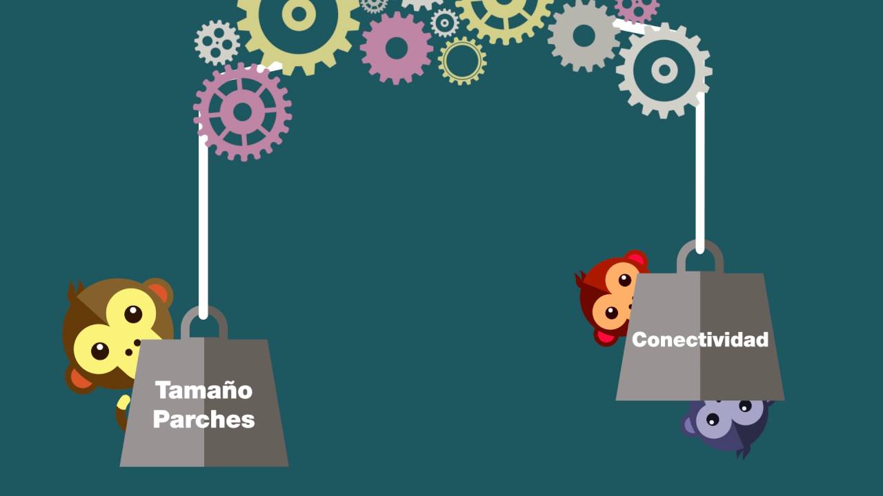 &iquest;Qu&eacute; es la Conectividad?